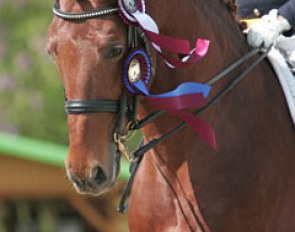 Deja Vu FBW in the ribbons....