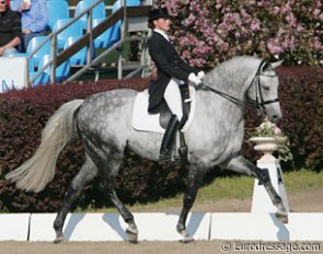 Polish Katarzyna Milczarek and Ekwador (by Heraldik xx) at the 2009 CDI Hagen