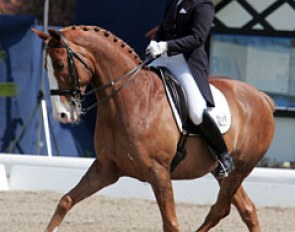 Maria Eriksson on Galliano at the 2009 CDI Hagen :: Photo © Astrid Appels