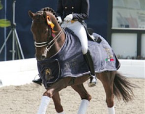 Maria von Essen and Ferdi (by Federweisser) won the Intermediaire I