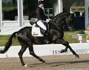 What a canter!! Insterburg TSF