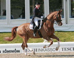 Laura Bechtolsheimer and the amazing powerhouse Mistral Hojris (by Michellino)