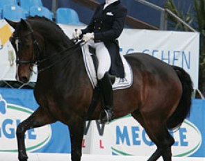 PSI in-house rider Stefanie Kerner aboard Wilfried Bechtolsheimer's 14-year old Danish warmblood Monet (by Michellino)