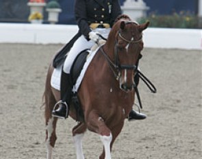 Brazilian Renate Rabello Costa on cute Monty