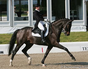 16th: Petri Bax on Oriento (by Jazz)