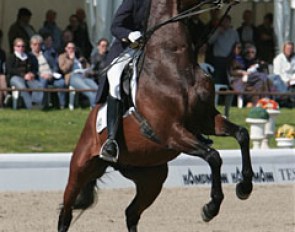 It all went really well for Susanne Lebek and Potomac (by Prince Orac xx).....until the end: a big TB blowup. Such bad luck