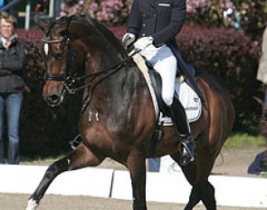 Imke Schellekens and Sunrise at the 2009 CDI Hagen