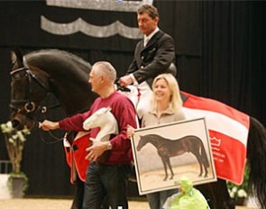 Cajus at the 2009 Danish warmblood stallion licensing