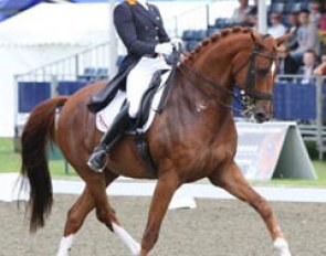 Adelinde Cornelissen on Parzival