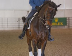 River Grove Farm's assistent rider Adrienne Lyle schooling Perry Thomas' Felix for a pas de deux