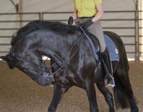On Tuesday, the riders were training their horses in the "normal" warm up ring: a non-airconditioned tent. The heat difference between this tent and the main arena is huge and riders will need to take that into account.