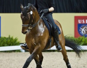 Polish Michal Rapcewicz and Polish warmblood Randon. They are the Central European League representatives at the Finals