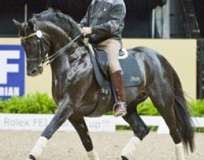 Pacific League winner Heath Ryan. The Australian is competing the black stallion Regardez Moi (by Rubinstein).