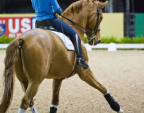 The second German in the Finals, Monica Theodorescu on the Baden Wurttemberger bred Whisper (by Welt Hit I).