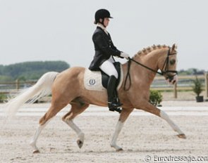 Franka Loos on Schermeer Hof Arendsoog. This pony lacks some suspension in trot, but then when he goes into extended trot, he flies