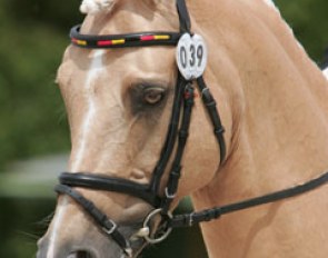Katharina Weychert's lovely palomino Golden Derano C (by Derano Gold)