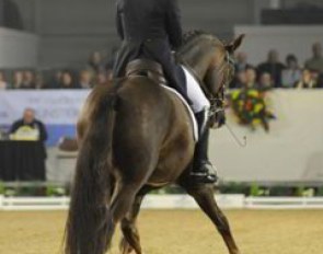 Ingrid Klimke on Damon Hill NRW
