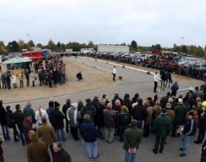 The Trakehner Stallion Licensing in Neumunster