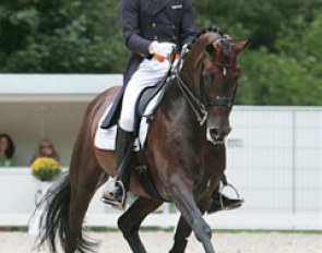 Hans Peter Minderhoud on Florencio. The trot work is still as impressive as before. In canter, he has difficulties to collect and the collected walk is close to pacing. Collection is always difficult for big movers, such as "Floris".