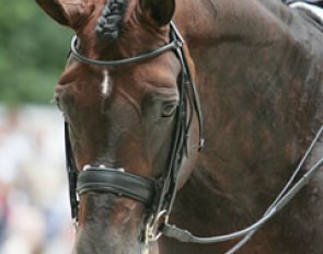 Florencio: a face doesn't get any prettier than this one!