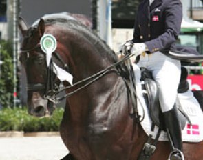 Mikala Gundersen on Leonberg