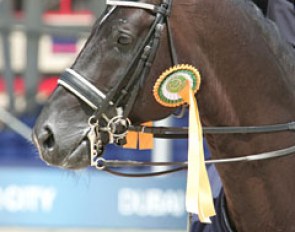 Edward Gal and Totilas capture the international dressage scene by storm at their first CDI in Rotterdam