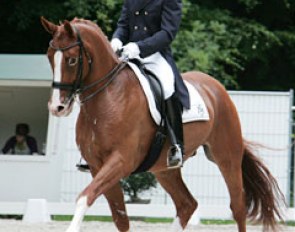 Twister was supposed to be a police horse but now he's an international small tour horse.