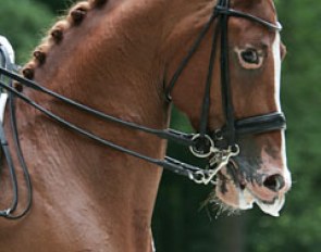 Twister.. what a great face!