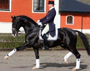 Jan Brink on Chirlon (by Ceylon x Kaliber) :: Photo © Krister Lindh