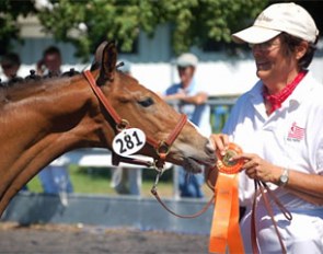 KWPN-NA keurings are inspections of breeding stock. Both young horses and mature horses are presented. Pictured: Brooklynne and Jody Cunningham