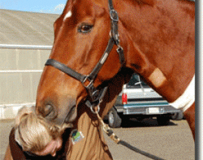 Debbie McDonald and her steady groom cuddling Brentina after her colic surgery