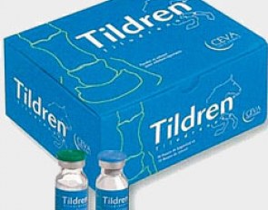 Tildren