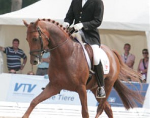 Nice half pass by Karolus van Wittenstein