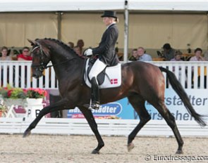 Anna Blomgren on Andreas Helgstrand's Laetare. This horse entered the competition via a wildcard. The German Equestrian Federation and Dutch/KNHS federation were both given one wild card. Germany chose Laetare, Holland Zimba