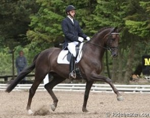 Andreas Helgstrand and Honnerups Driver at the Danish WCYH Selection Trial :: Photo © Ridehesten.com