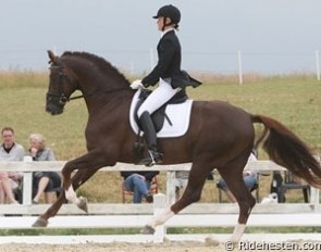 Lotte Skjaerbaek on Skoven Rafael at the Danish Young Horse Selection Trial :: Photo © Ridehesten.com