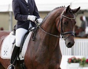 Yvonne Reiser and Ferrero at the 2009 World Young Horse Championships :: Photo © Astrid Appels