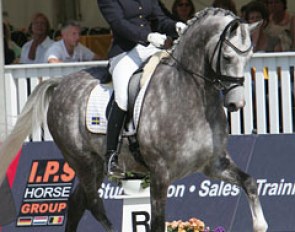 Sandra Sterntorp and Greetings at the 2009 World Young Horse Championships :: Photo © Astrid Appels