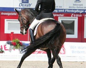 Swiss Nicole Heyser on the super trotting Swiss bred mare U.S. Latina (by Rubin Royal x Landjonker). Not only did she have unbelievable bounce in trot, but also a great potential to cross her legs in the traversal movements.