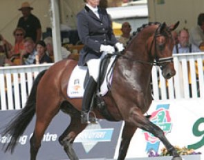 Much was expected of Dutch bred Ziesto (by Lancet) but the stallion was very distracted during the test. He neighed a lot, got unresponsive in the mouth and didn't show a proper extended walk. What a pity because there is much more in this horse.