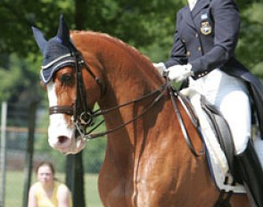 Elisabeth Hjelm and Baltzar at the 2009 CDI-YR Weert :: Photo © Astrid Appels