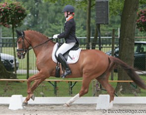 Antoinette te Riele and Danny Boy B at the 2009 CDI-P Weert :: Photo © Astrid Appels