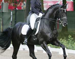 Marrigje van Baalen on Don Cardinale