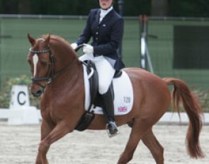 Gigolo: peviously campaigned for Britain by Kristina Rausing, but now ridden by Claire Gallimore