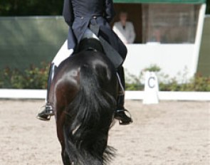 A rider entering the ring at A to be judged :: Photo © Astrid Appels