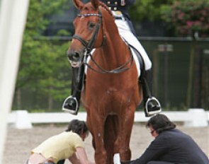 Camille Cheret Judet is getting ready for her ride on Mister Grand Champ