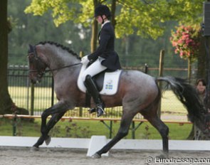 A rising star: Marina Mattsson's new FEI pony Verdi RP (by Vermont).