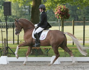Justine Mudde on her very tall pony Wonderboy (by Dressman). This pony used to be a licensed stallion with the name De Vito II