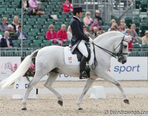 Spanish Claudio Castilla Ruiz on Manuel Vidrie's Lusitano bred Jade de Mv (by Musico x Neptuno).