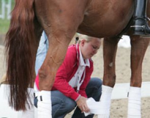 Helping hands: Alexandra Korelova unwrapping Whisper for her trainer Monica Theodorescu